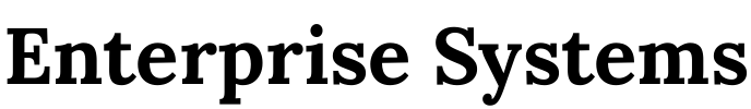 Enterprise Systems